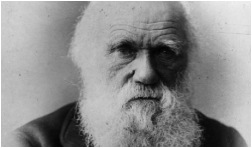 Evolutionary Theories and Charles Darwin On the Origin of Species